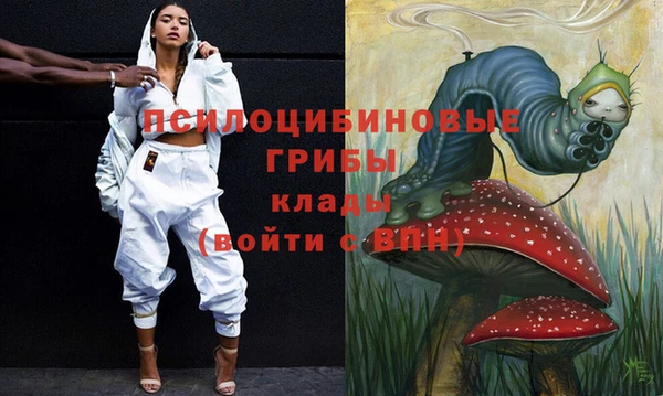герыч Арсеньев