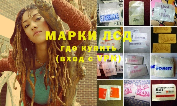 ПСИЛОЦИБИНОВЫЕ ГРИБЫ Аркадак