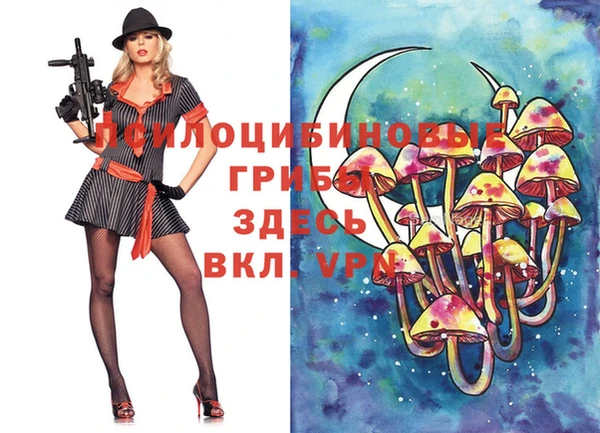 герыч Арсеньев