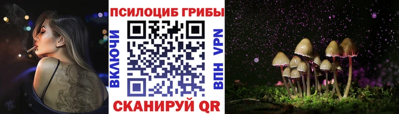 Псилоцибиновые грибы Cubensis  это наркотические препараты  Чёрмоз 